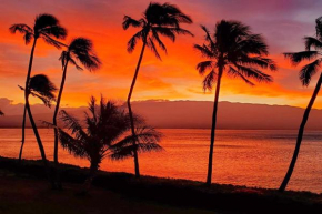 Maalaea Banyans 411